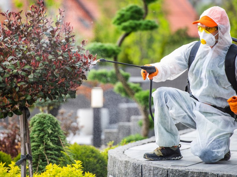 Örnekköy Haşere İlaçlama